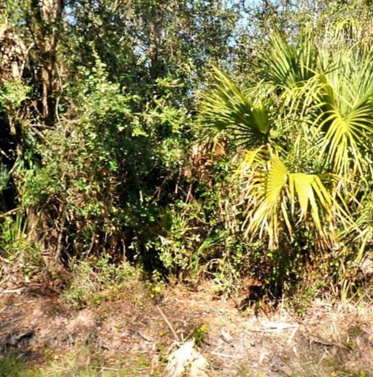13 Snug Street North Port, FL 34286 - Photo 2 of 2 a view of a tree