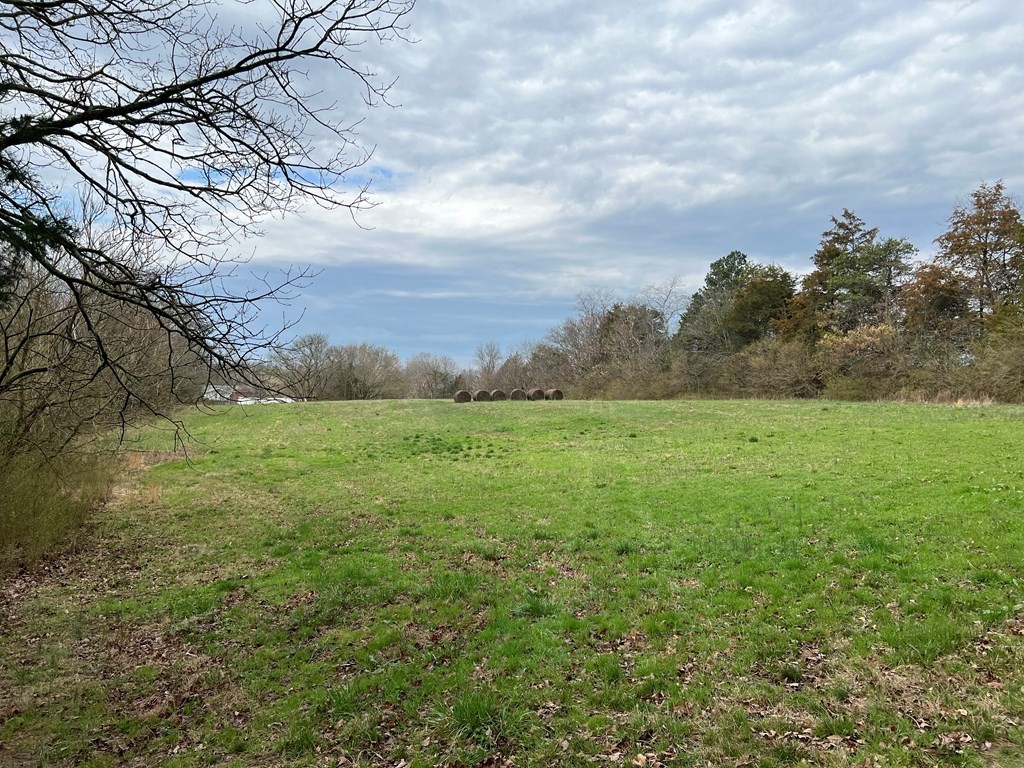 236 Loop Road Parrottsville, TN 37843 - Photo 5 of 21 Gallery Image 5