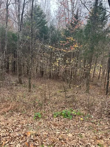 $108,000 | 0 Ryes Chapel Road, Southside, TN 37171