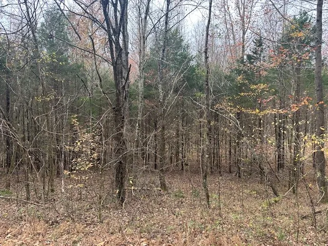 $108,000 | 0 Ryes Chapel Road, Southside, TN 37171