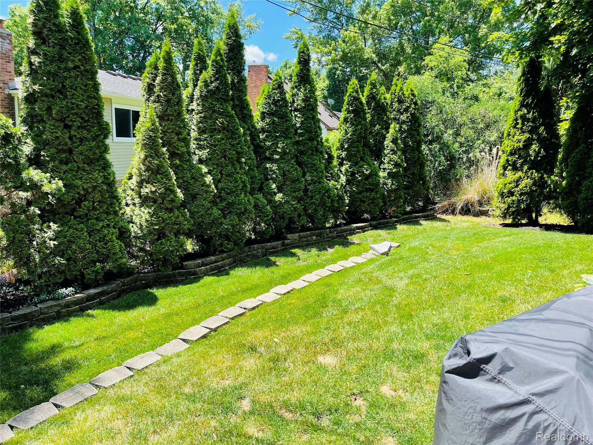 488 Welch Road Northville, MI 48167 - Photo 15 of 22 Expansive green lawn bordered by a row of tall evergreen privacy trees
