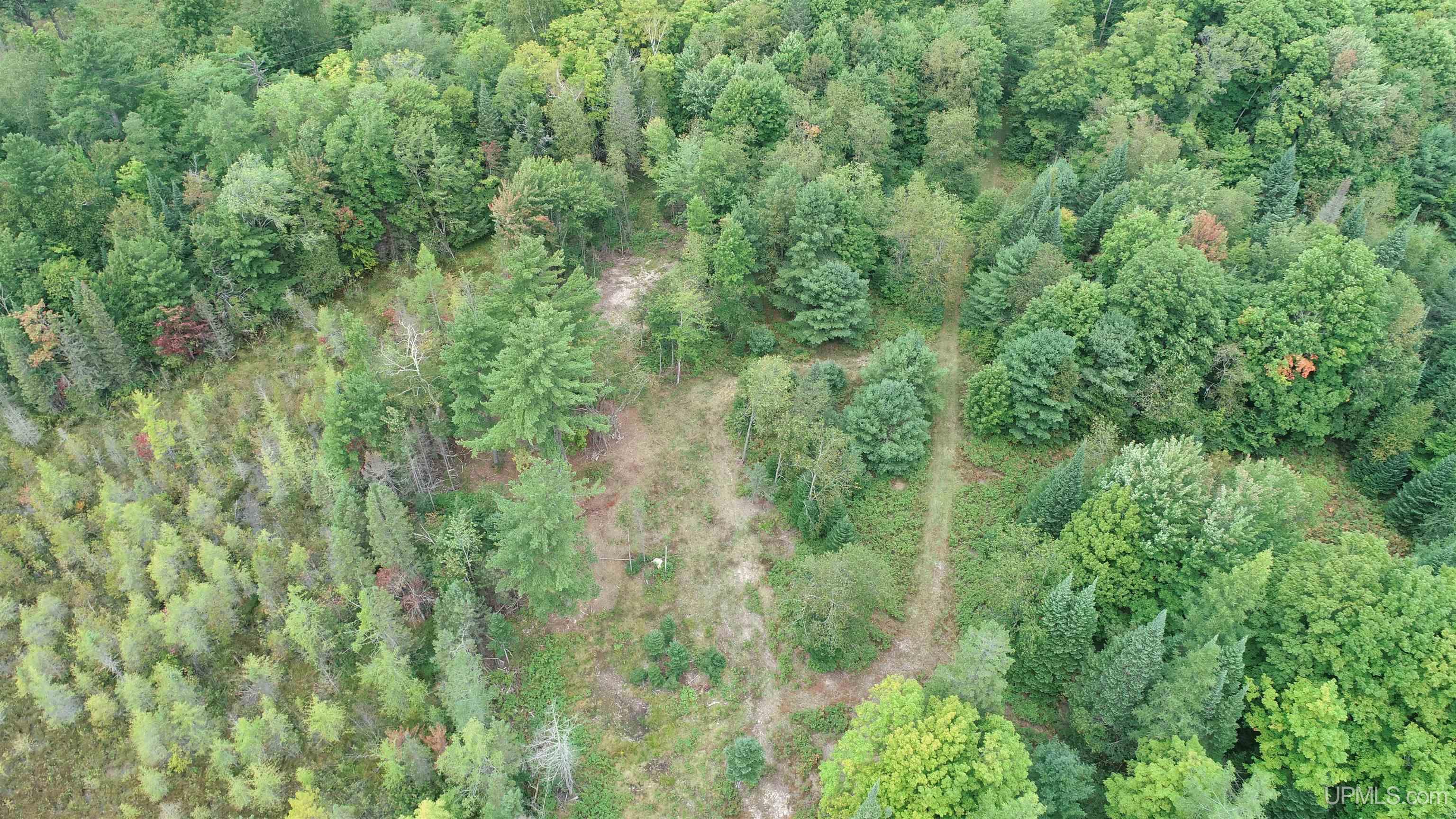 Tbd North Tbd N Powerline Road Germfask, MI 49836 - Photo 3 of 29
