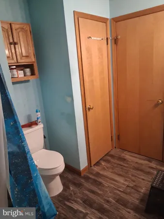 a room with furniture and a potted plant