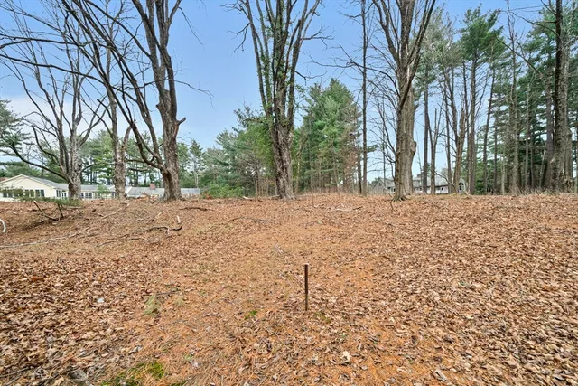 a backyard of a house with large trees