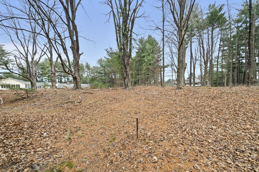 12 Sabrina Farm Wellesley, MA 02482 - Photo 16 of 16 a backyard of a house with large trees