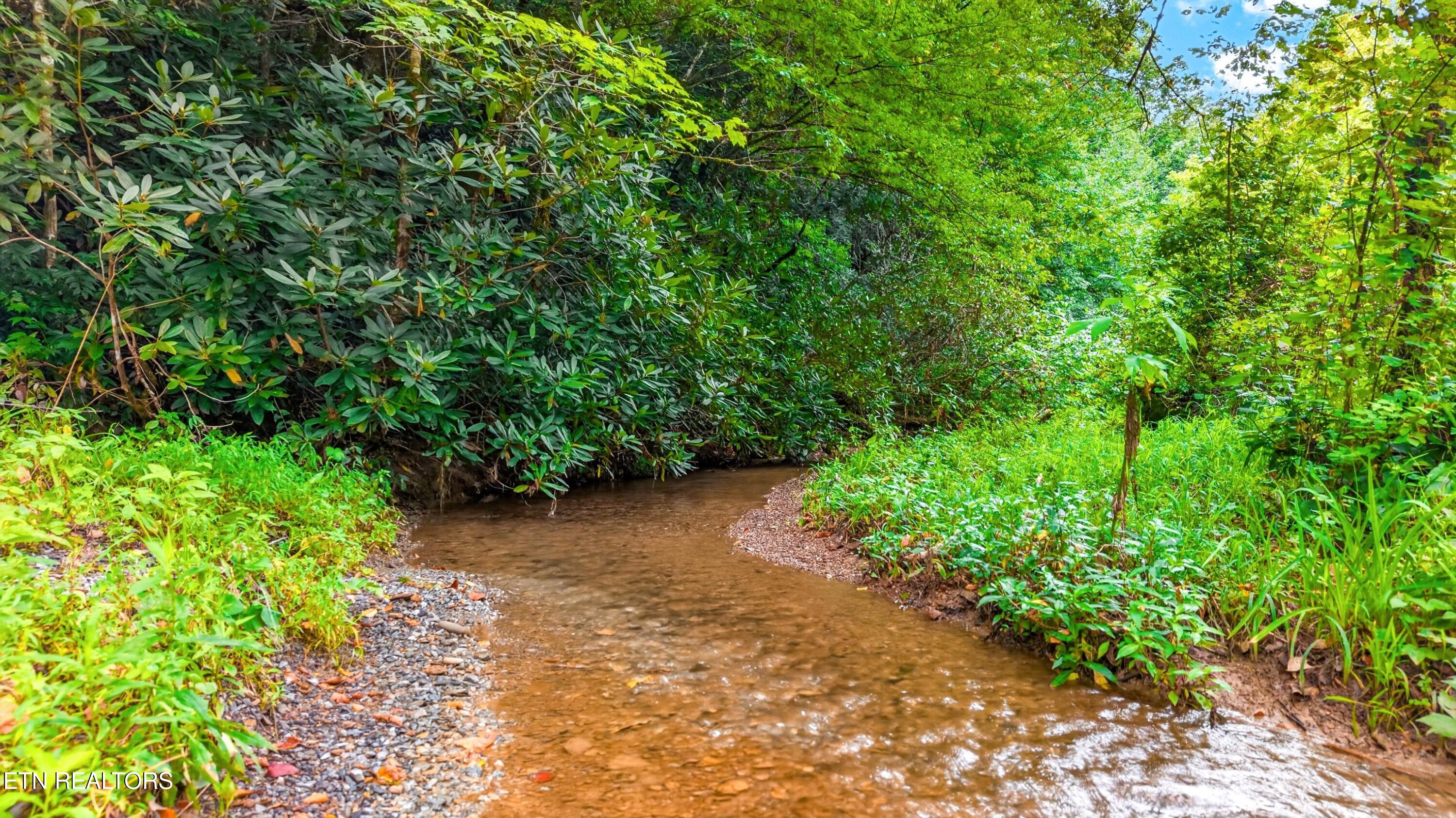 Chavis Road Cosby, TN 37722 - Photo 2 of 16 014-ChavisRoad-Cosby-TN-SMALL