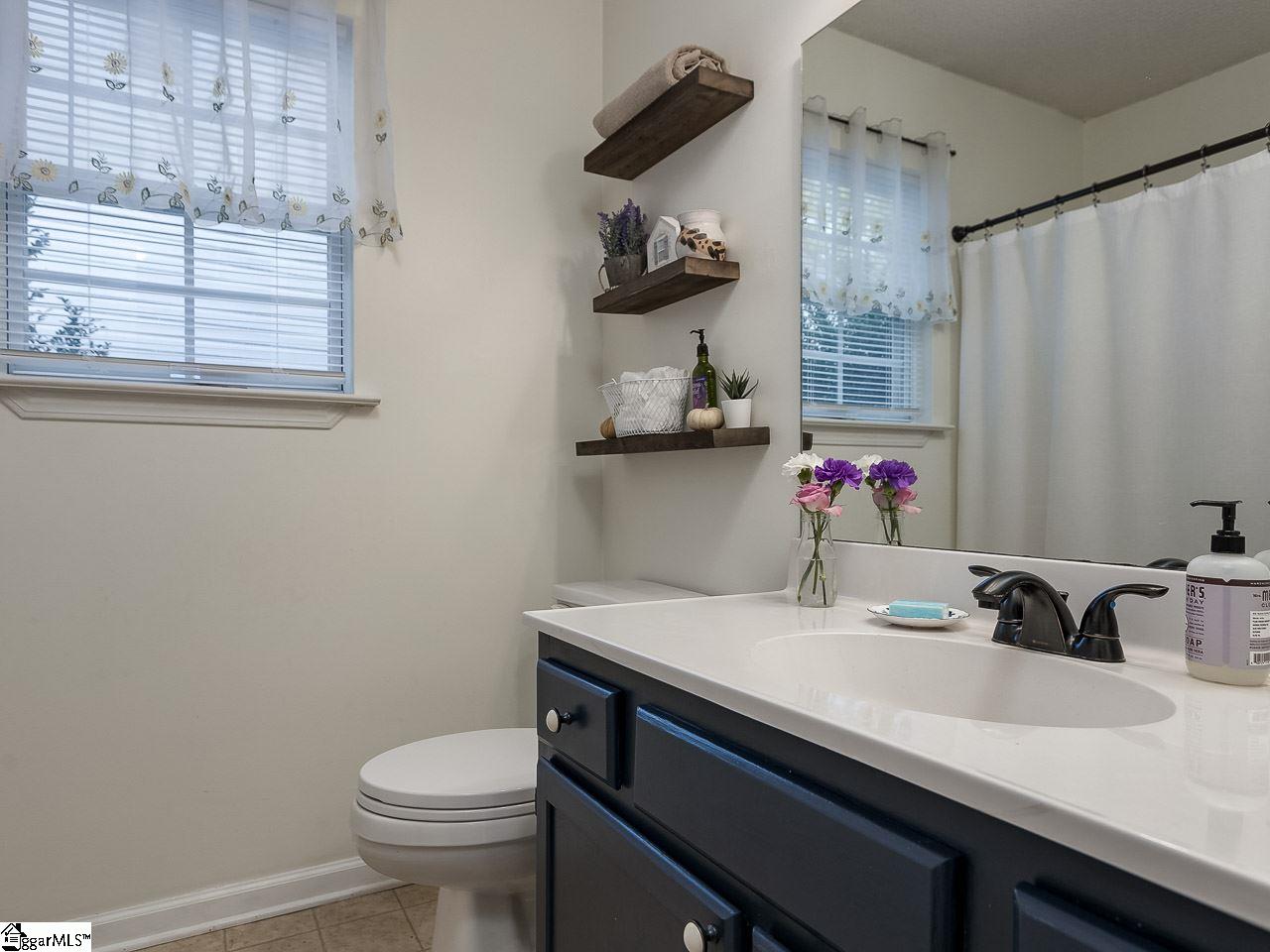 227 Riverside Chase Circle Greer, SC 29650 - Photo 12 of 18