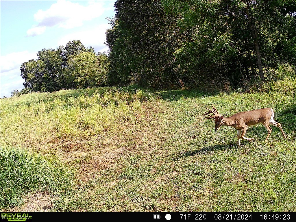 80960 Burkhart Road Tippecanoe, OH 44699 - Photo 14 of 50