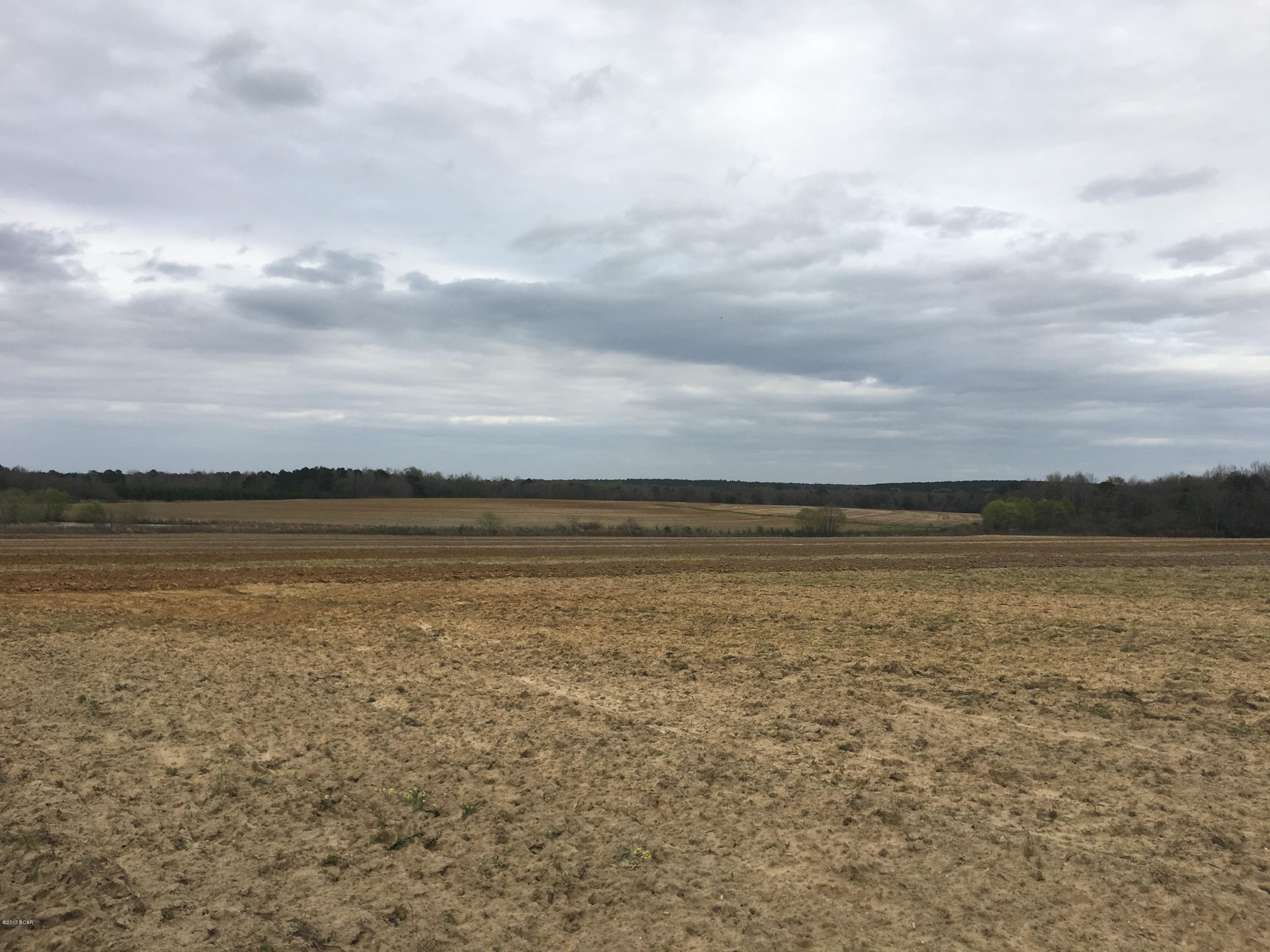 1249 Gavin Road Bonifay, FL 32425 - Photo 1 of 36 Gallery Image 1