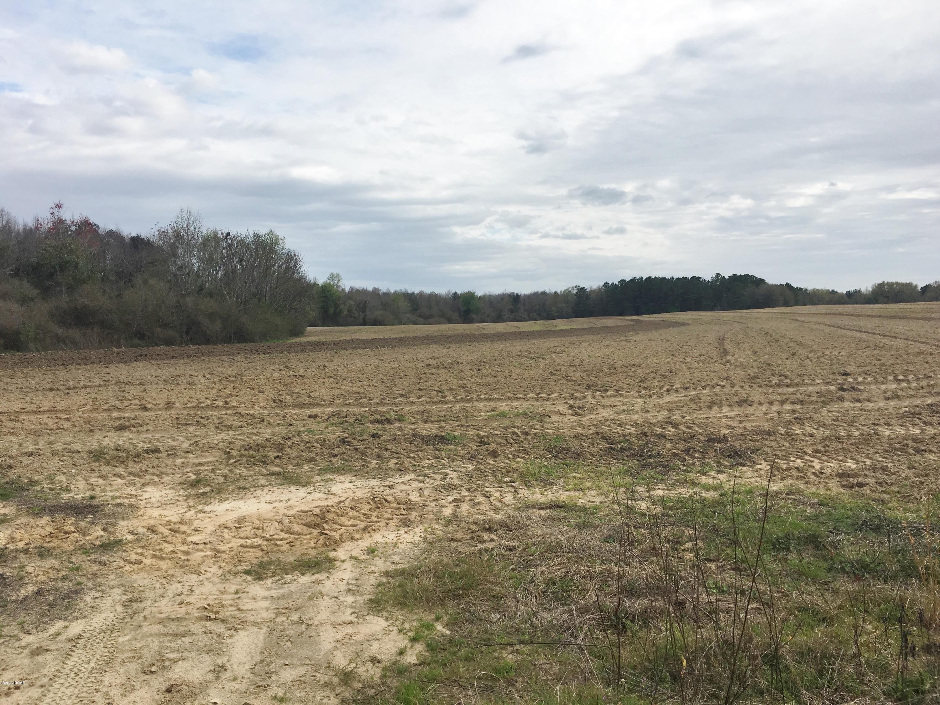 1249 Gavin Road Bonifay, FL 32425 - Photo 12 of 36 Gallery Image 12