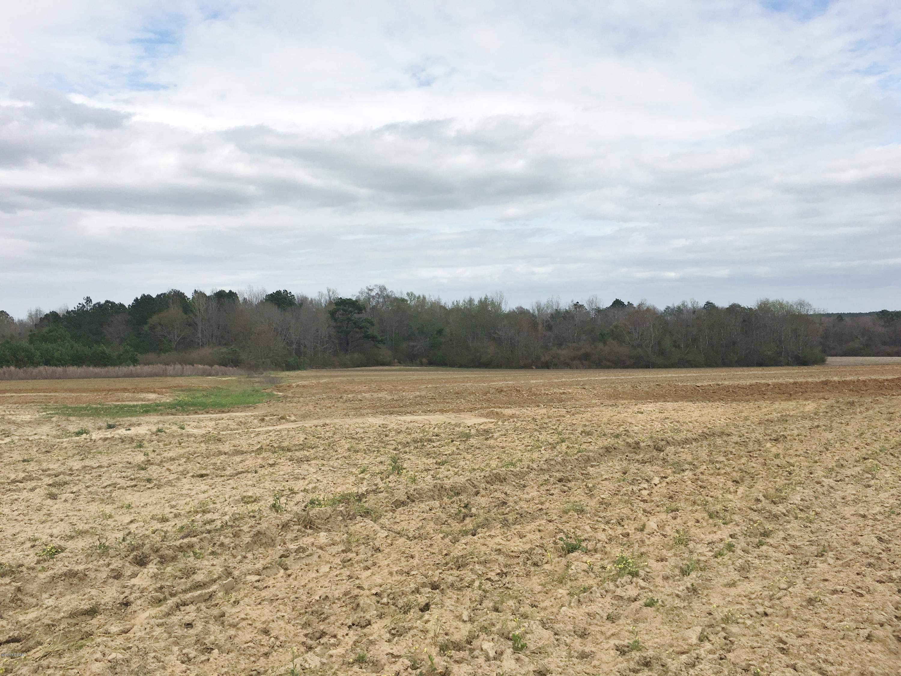 1249 Gavin Road Bonifay, FL 32425 - Photo 23 of 36 Gallery Image 23