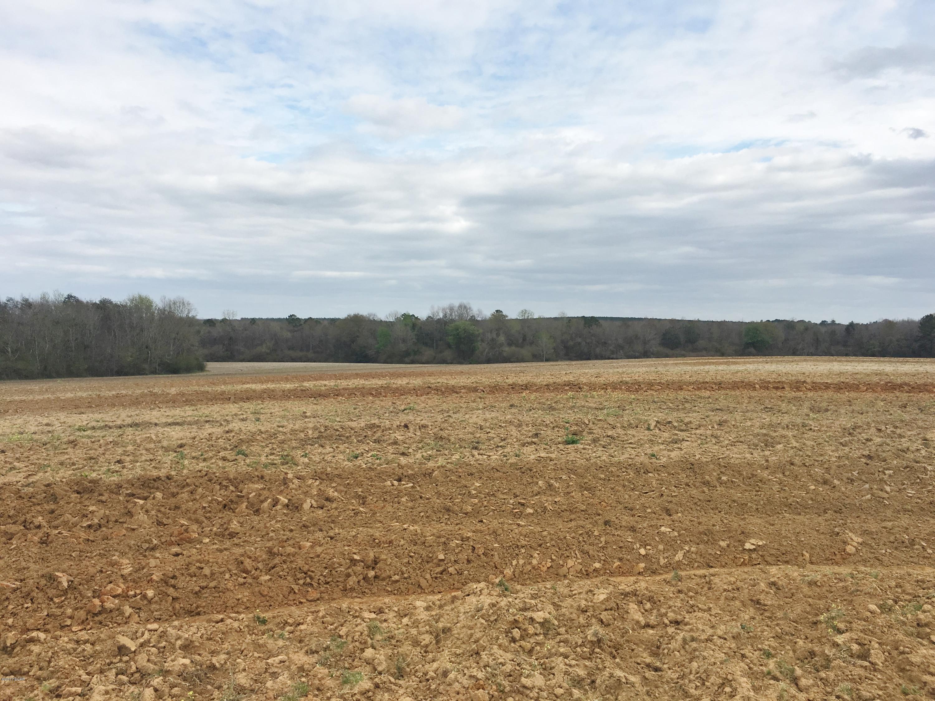 1249 Gavin Road Bonifay, FL 32425 - Photo 25 of 36 Gallery Image 25