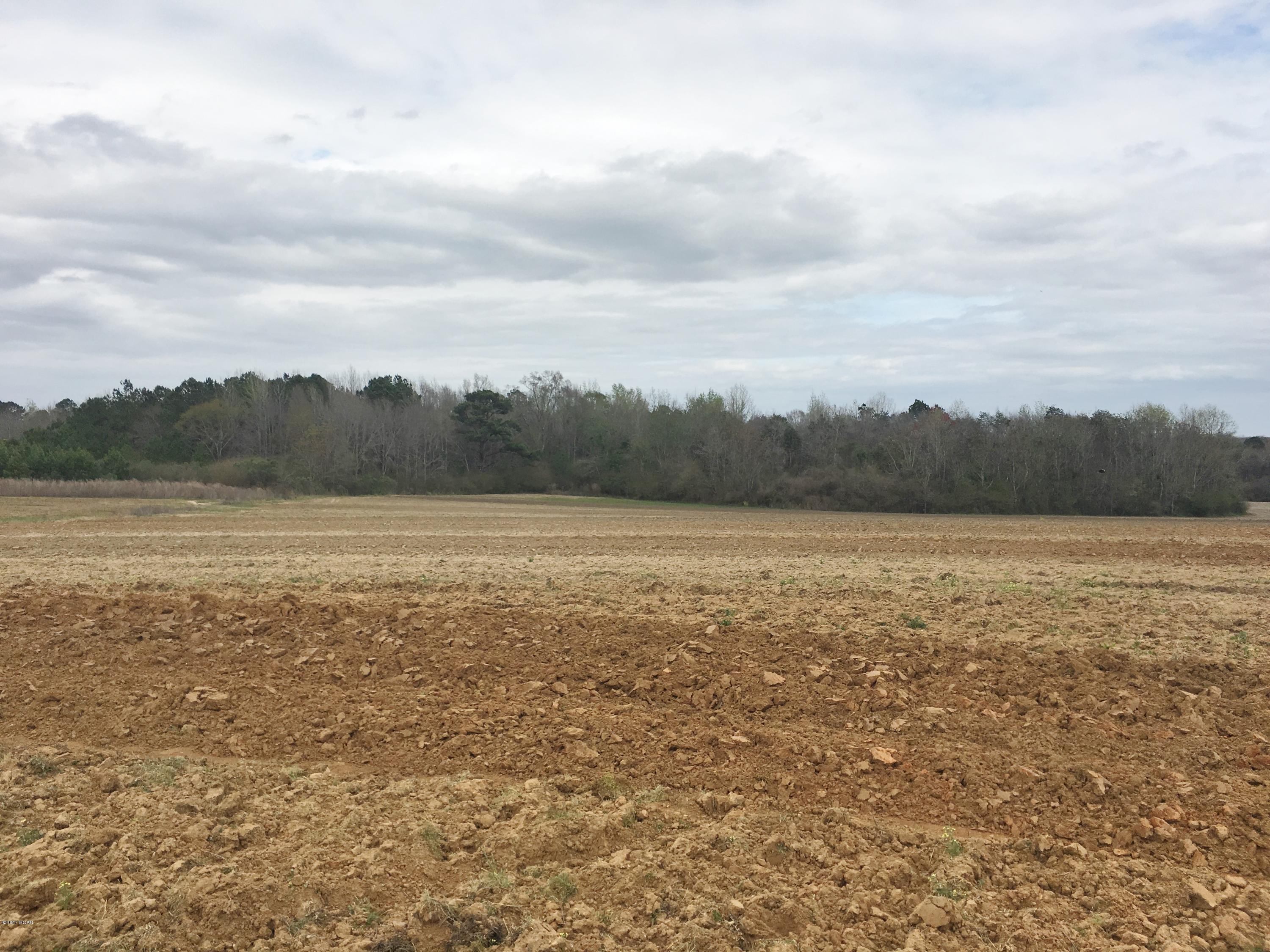1249 Gavin Road Bonifay, FL 32425 - Photo 26 of 36 Gallery Image 26
