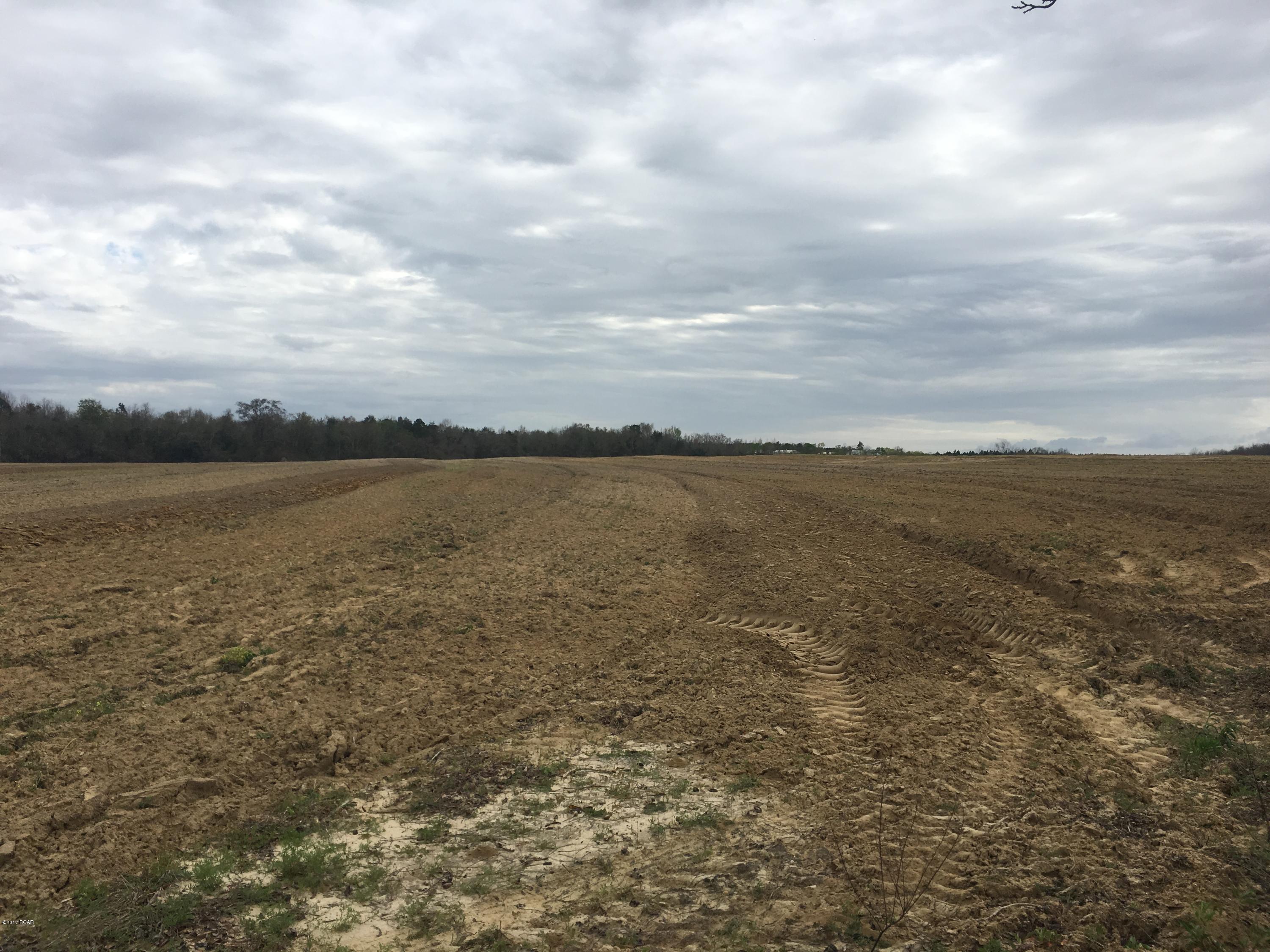 1249 Gavin Road Bonifay, FL 32425 - Photo 30 of 36 Gallery Image 30