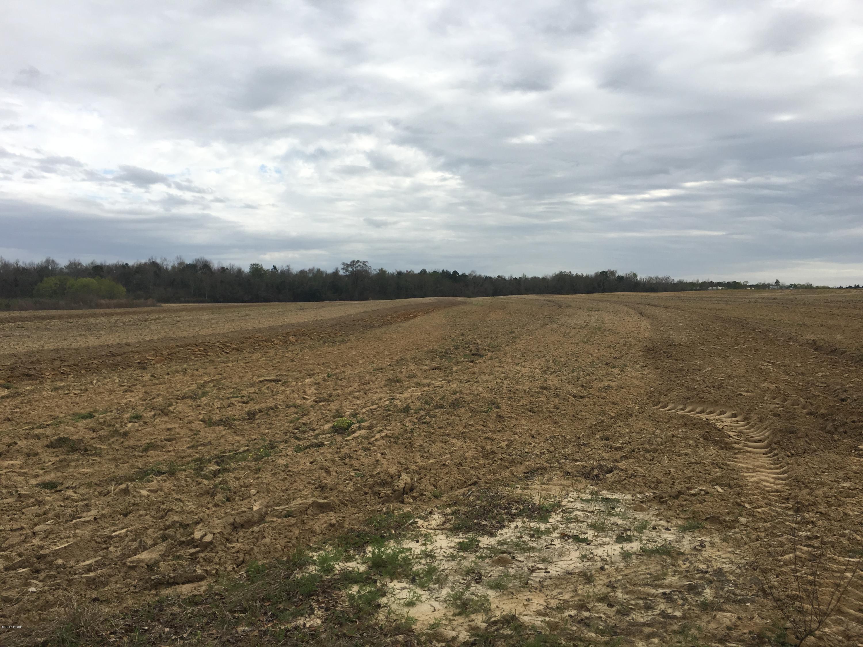 1249 Gavin Road Bonifay, FL 32425 - Photo 32 of 36 Gallery Image 32