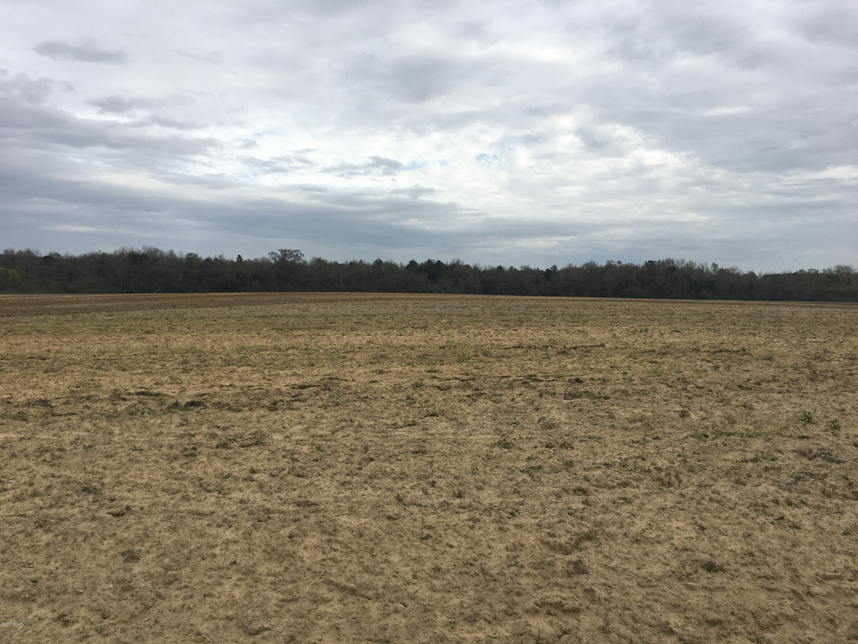 1249 Gavin Road Bonifay, FL 32425 - Photo 36 of 36 Gallery Image 36
