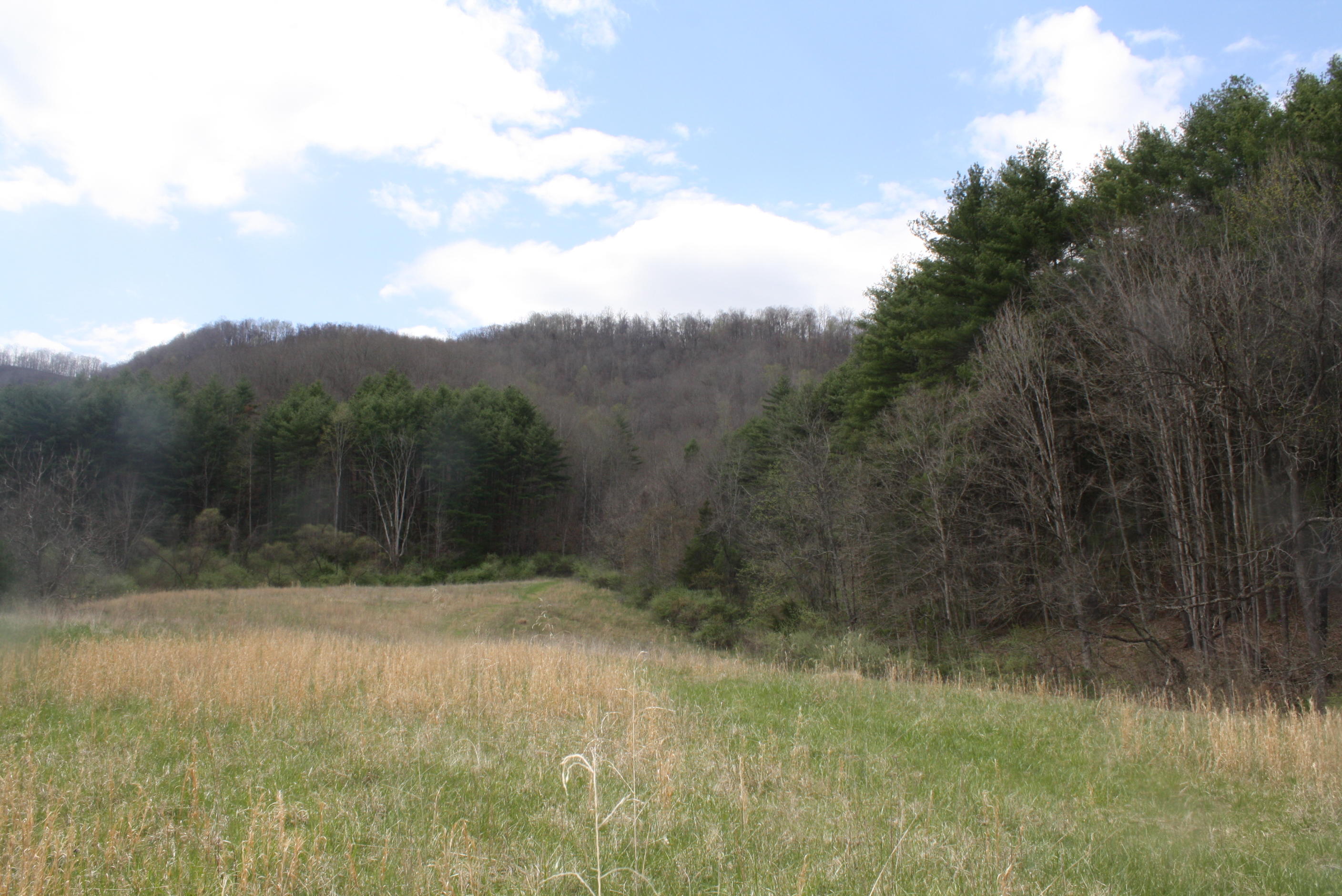 722 East Woodrumtown Road Hinton, WV 25951 - Photo 96 of 145 Gallery Image 96