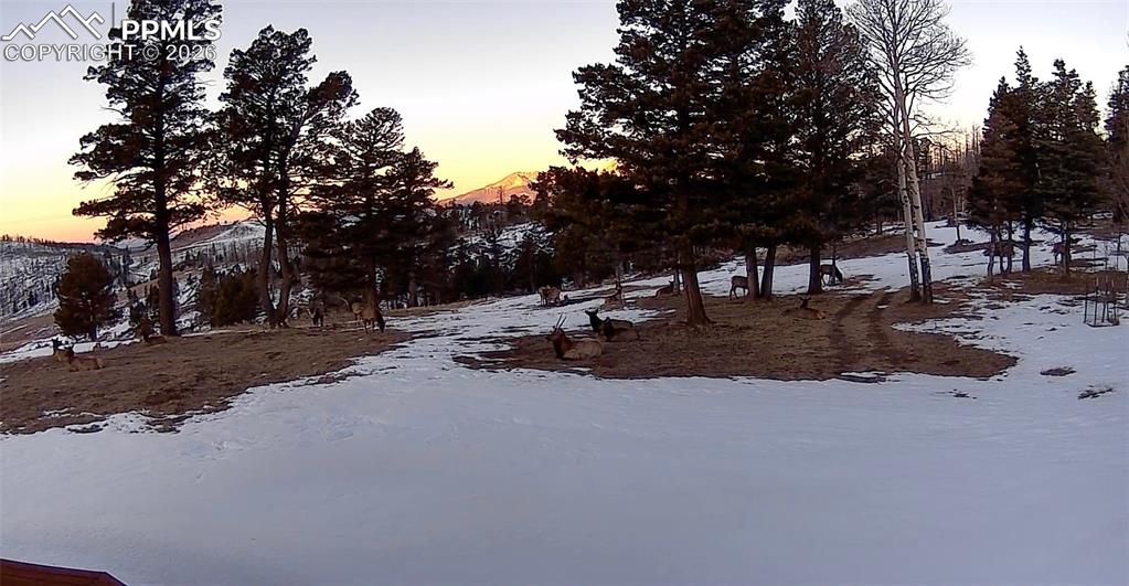 450 Schierl Road Fort Garland, CO 81133 - Photo 14 of 40