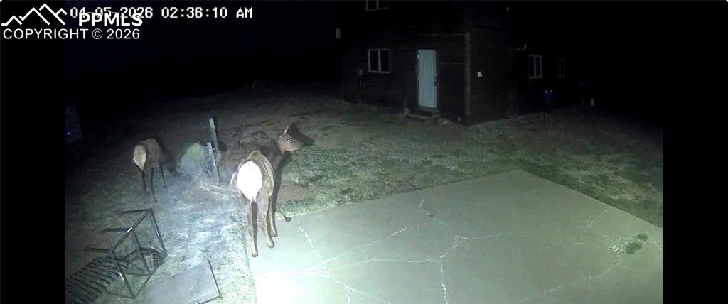 450 Schierl Road Fort Garland, CO 81133 - Photo 19 of 40