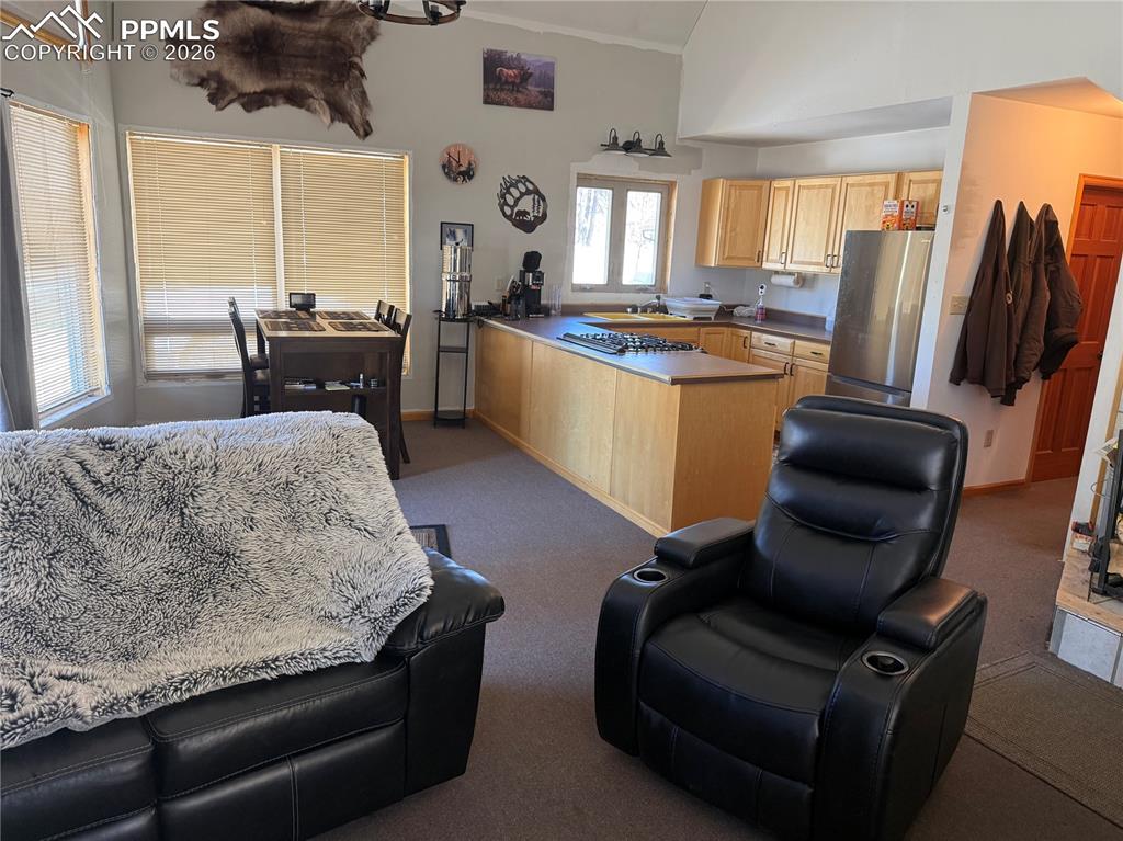 450 Schierl Road Fort Garland, CO 81133 - Photo 23 of 40