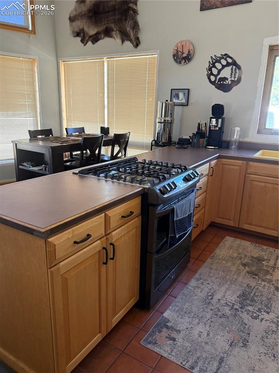 450 Schierl Road Fort Garland, CO 81133 - Photo 26 of 40