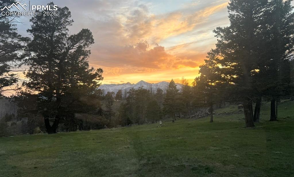 450 Schierl Road Fort Garland, CO 81133 - Photo 4 of 40