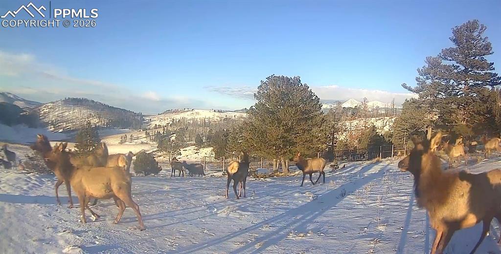 450 Schierl Road Fort Garland, CO 81133 - Photo 6 of 40