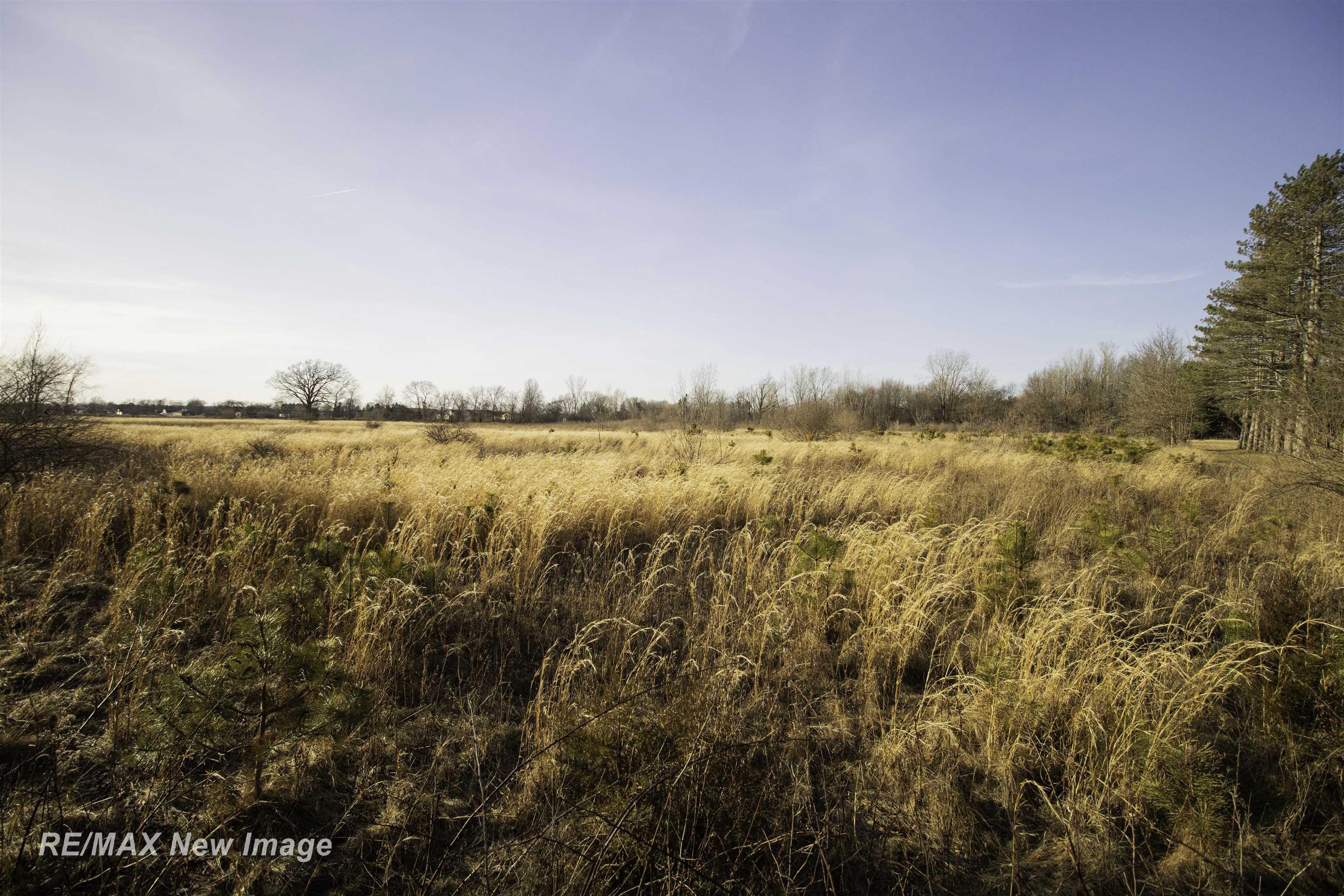 17240 South Sharon Road Chesaning, MI 48616 - Photo 35 of 38 50169069-386d3182-ddf2-48ca-af13-a1f68c98cb63.JPG
