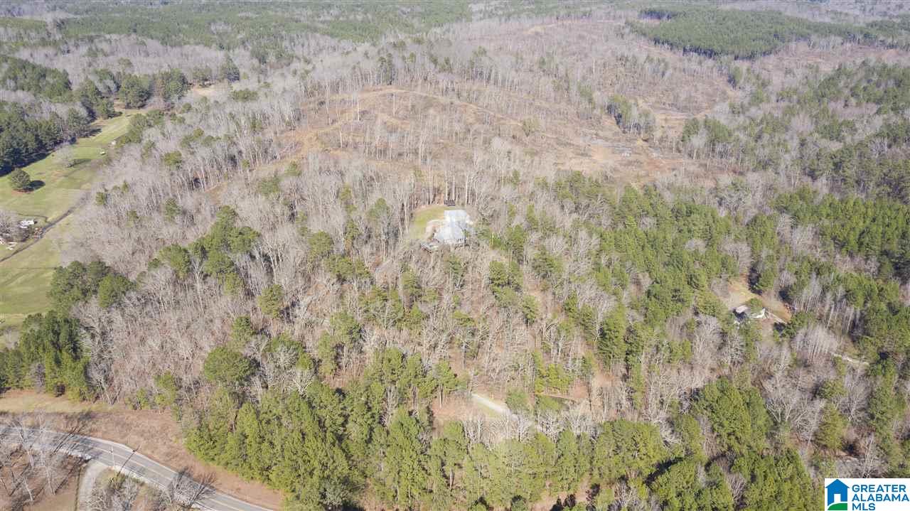 8737 Brasher Road Pinson, AL 35126 - Photo 46 of 50