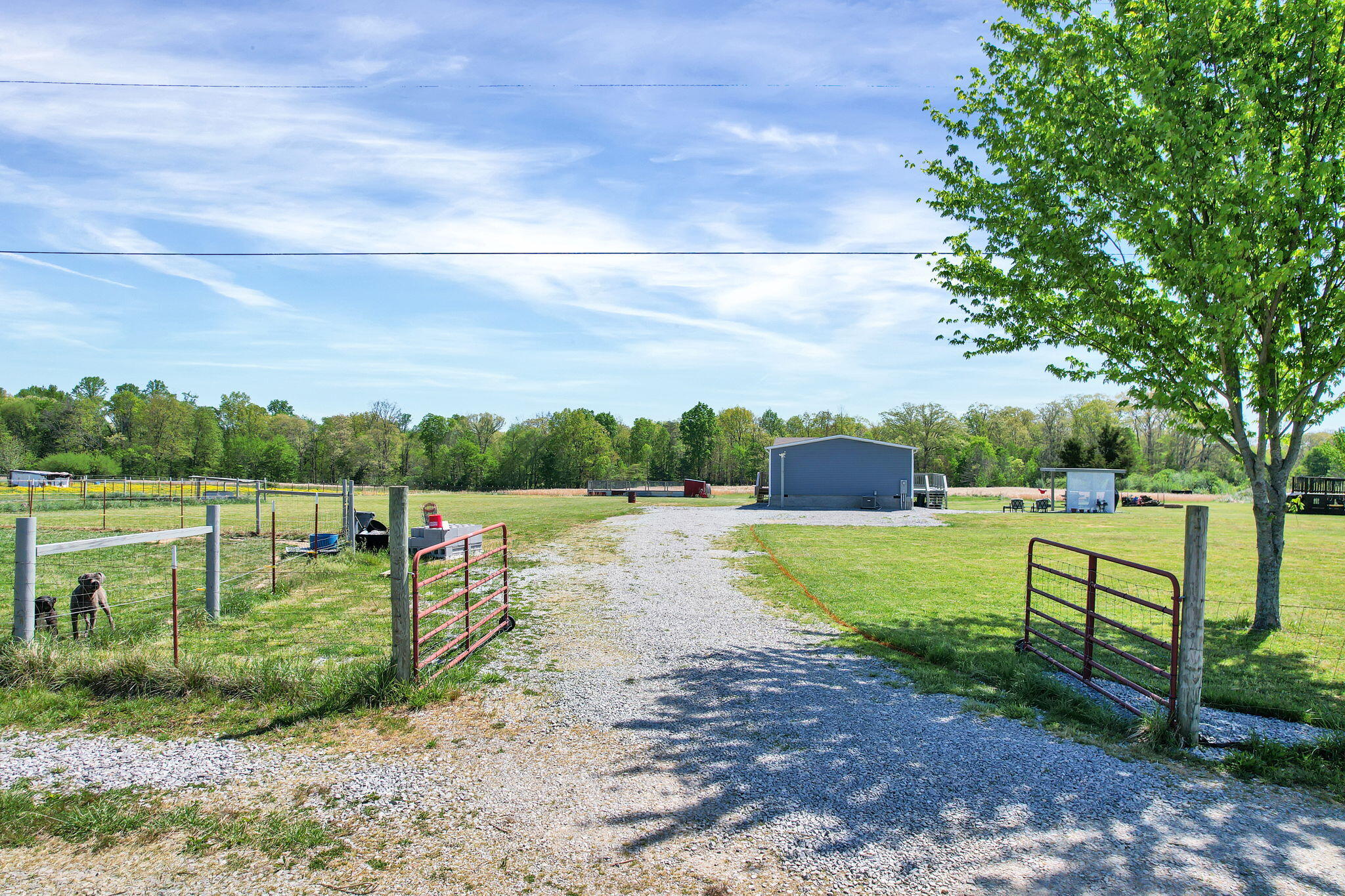 330 Blueberry Acres Dayton, TN 37321 - Photo 1 of 41 1-web-or-mls-DJI_0800