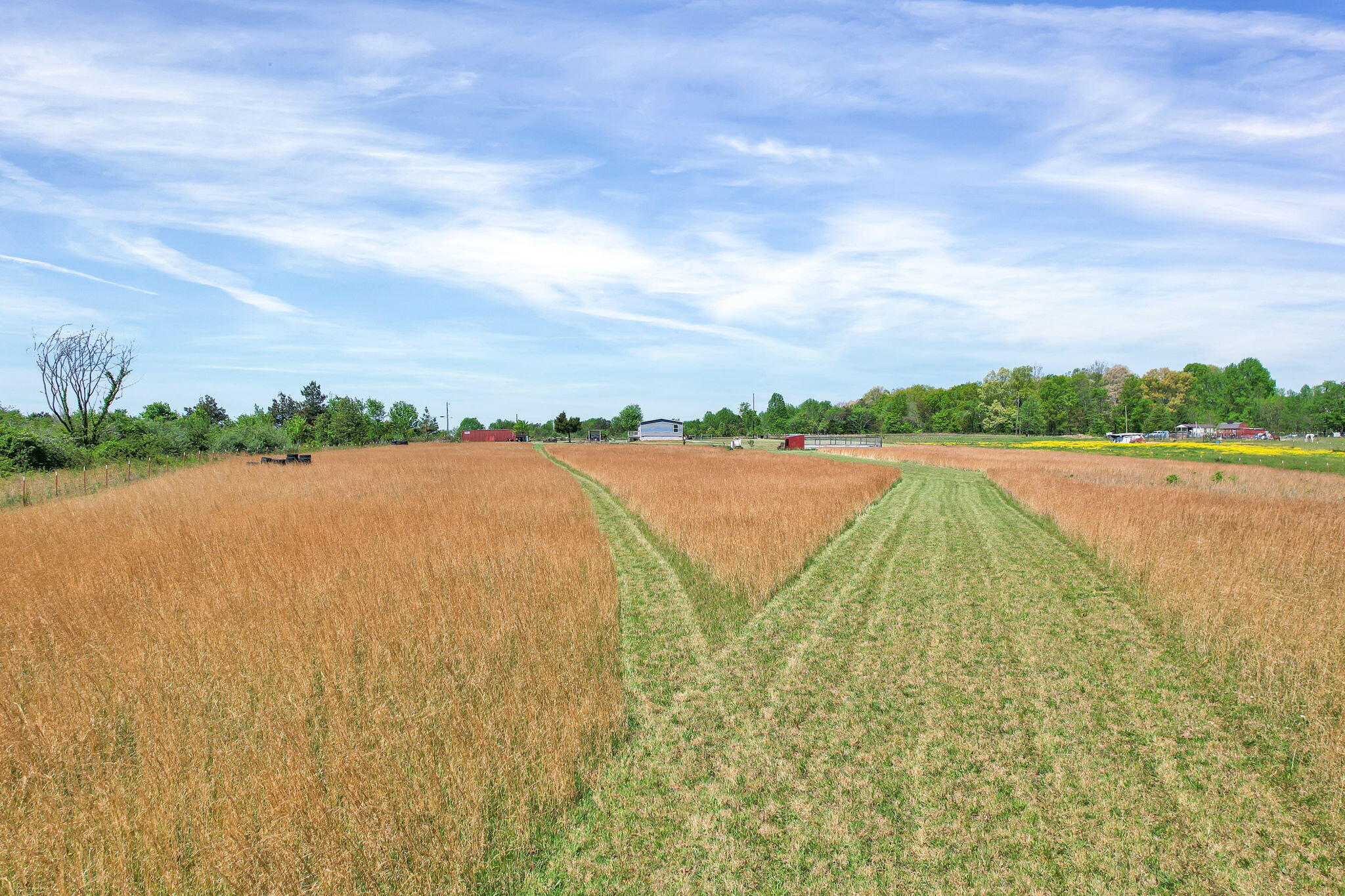 330 Blueberry Acres Dayton, TN 37321 - Photo 12 of 41 12-web-or-mls-DJI_0817