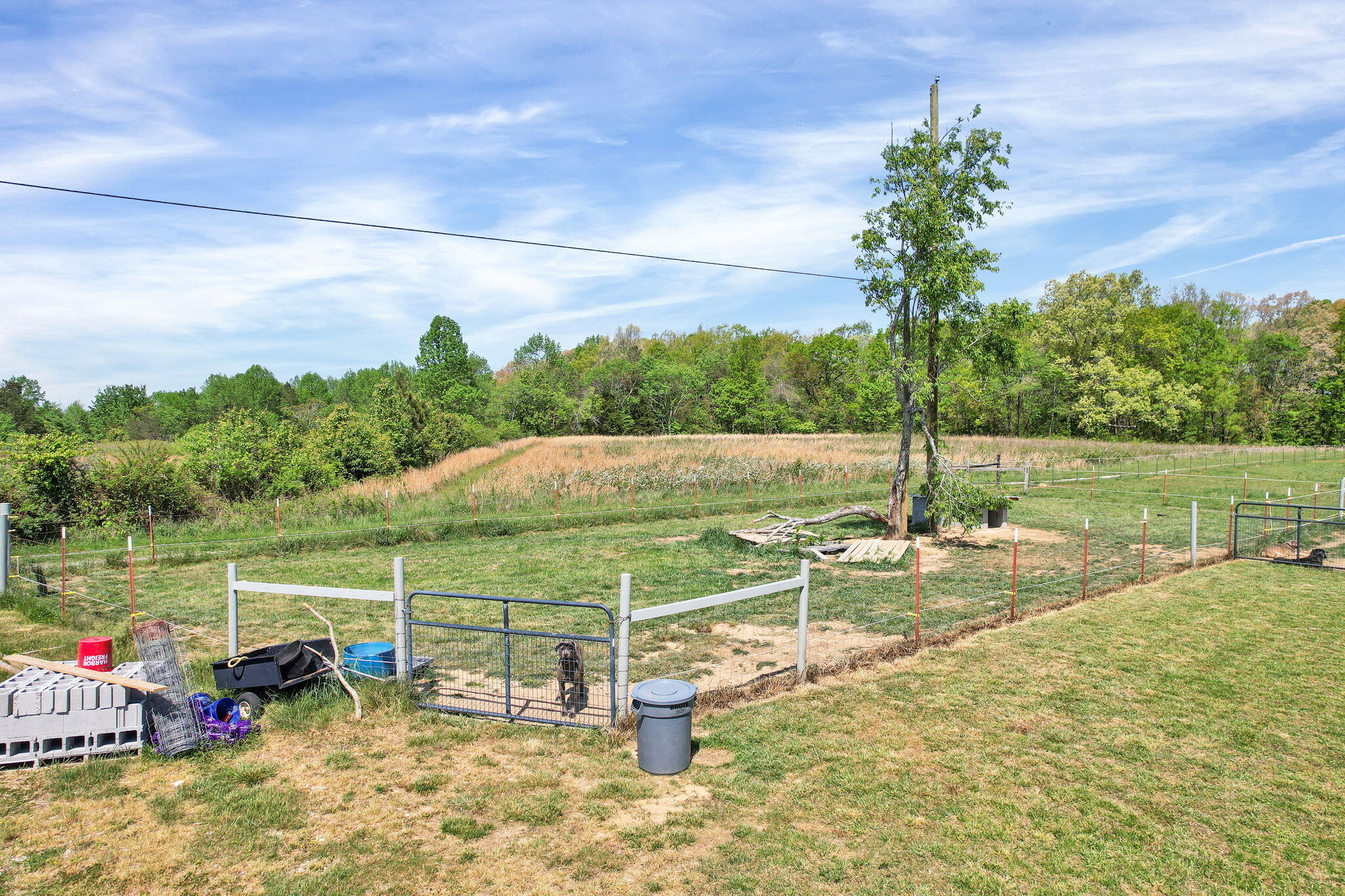 330 Blueberry Acres Dayton, TN 37321 - Photo 16 of 41 16-web-or-mls-DJI_0828