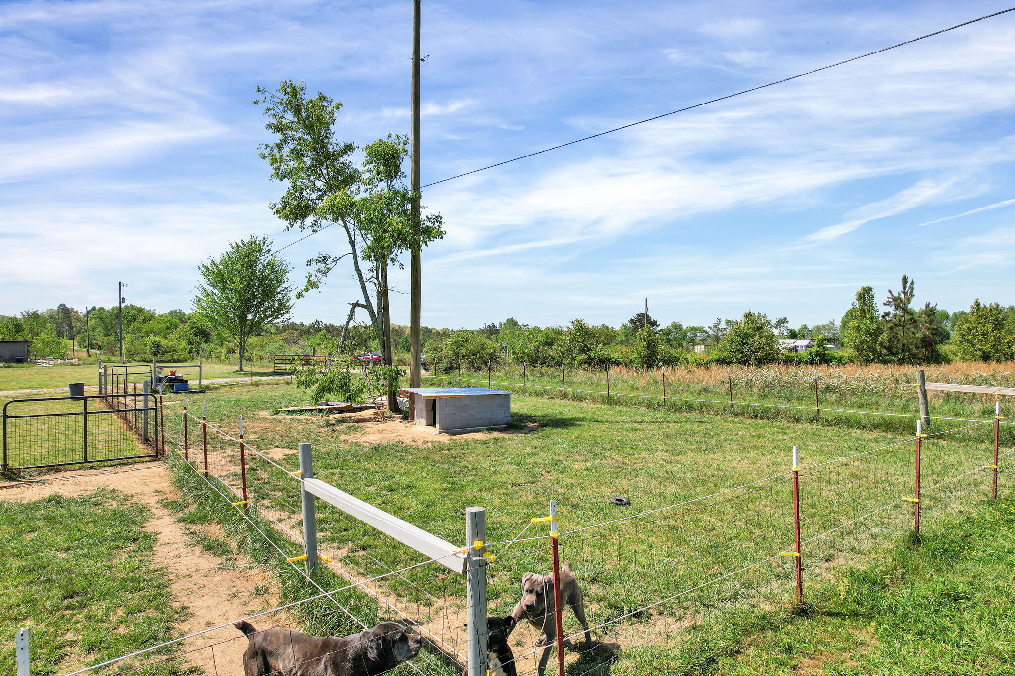 330 Blueberry Acres Dayton, TN 37321 - Photo 18 of 41 18-web-or-mls-DJI_0830