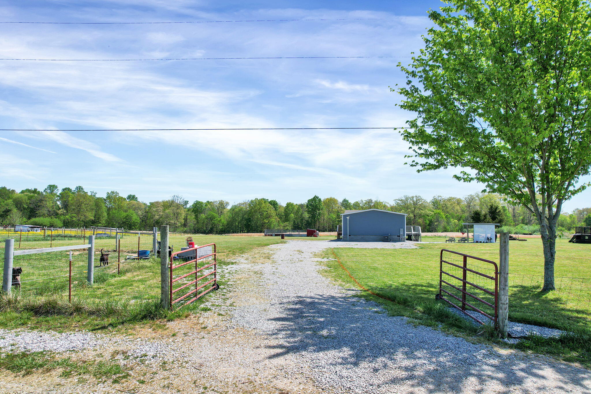 330 Blueberry Acres Dayton, TN 37321 - Photo 19 of 41 19-web-or-mls-DJI_0831