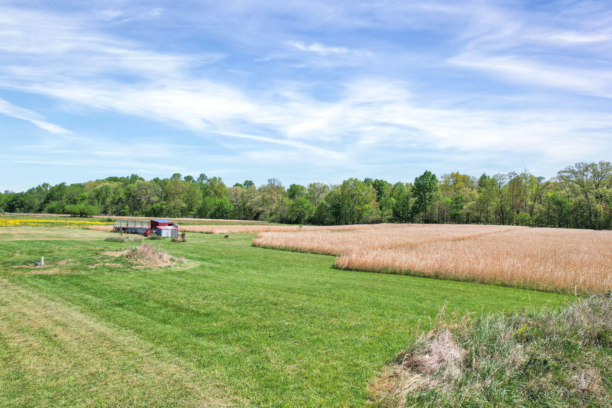 330 Blueberry Acres Dayton, TN 37321 - Photo 7 of 41 7-web-or-mls-DJI_0811