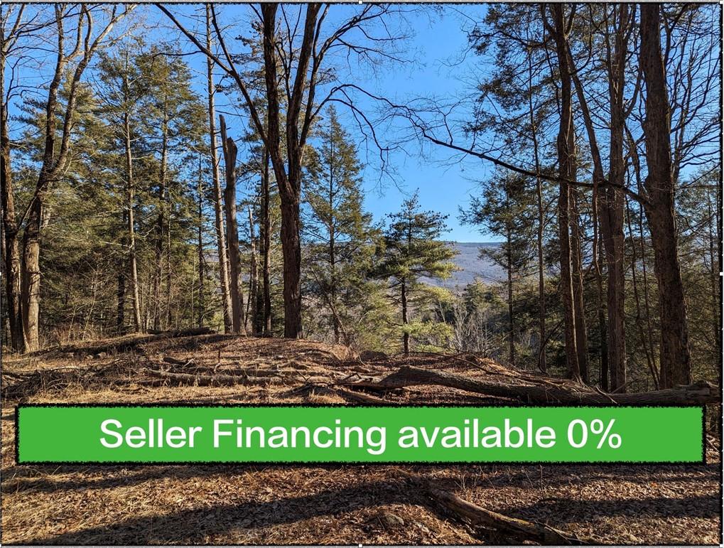 Lundy Road Wawarsing, NY 12489 - Photo 1 of 1 Gallery Image 1