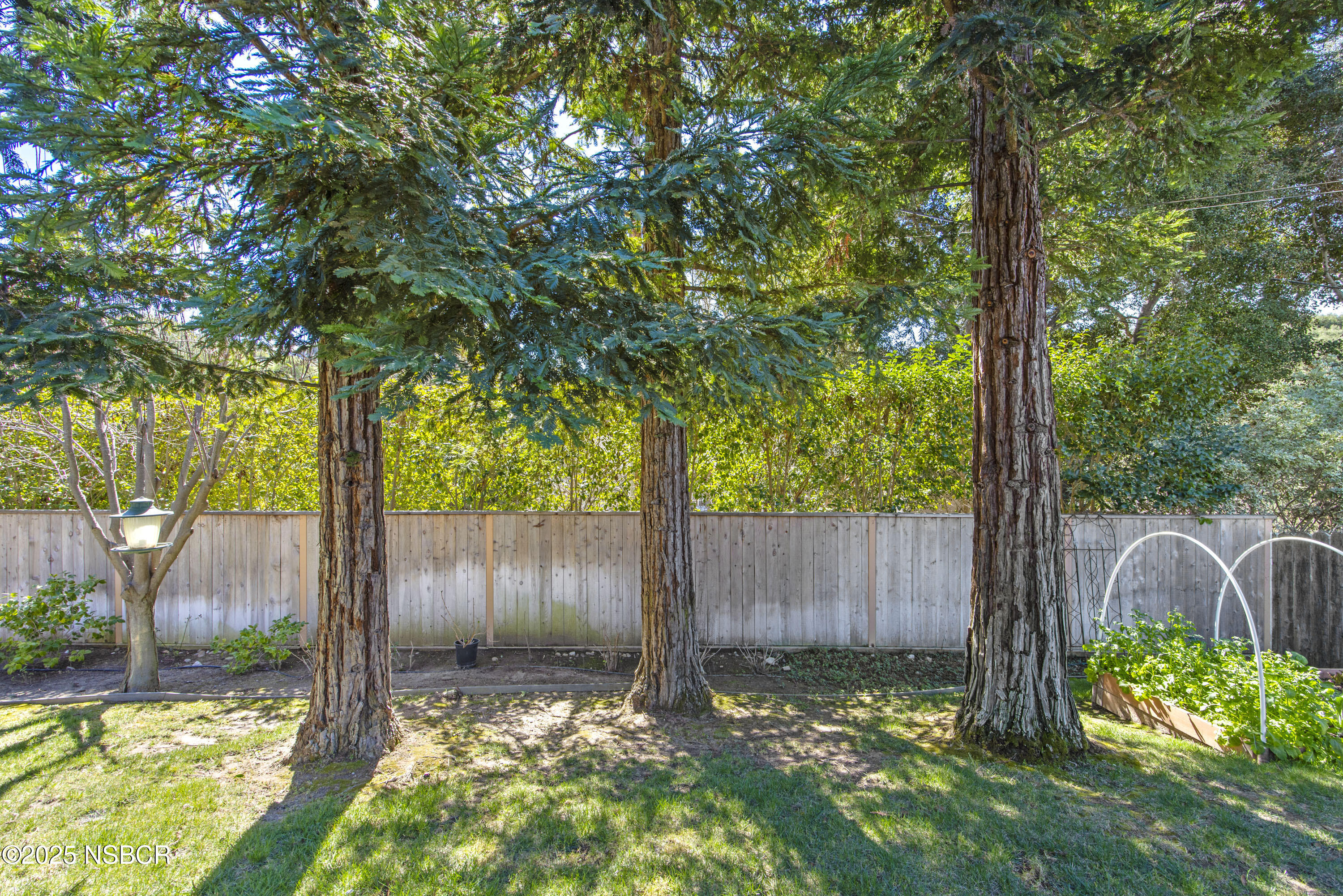 922 College Canyon Road Solvang, CA 93463 - Photo 20 of 23 a backyard of a house with lots of green space and wooden fence