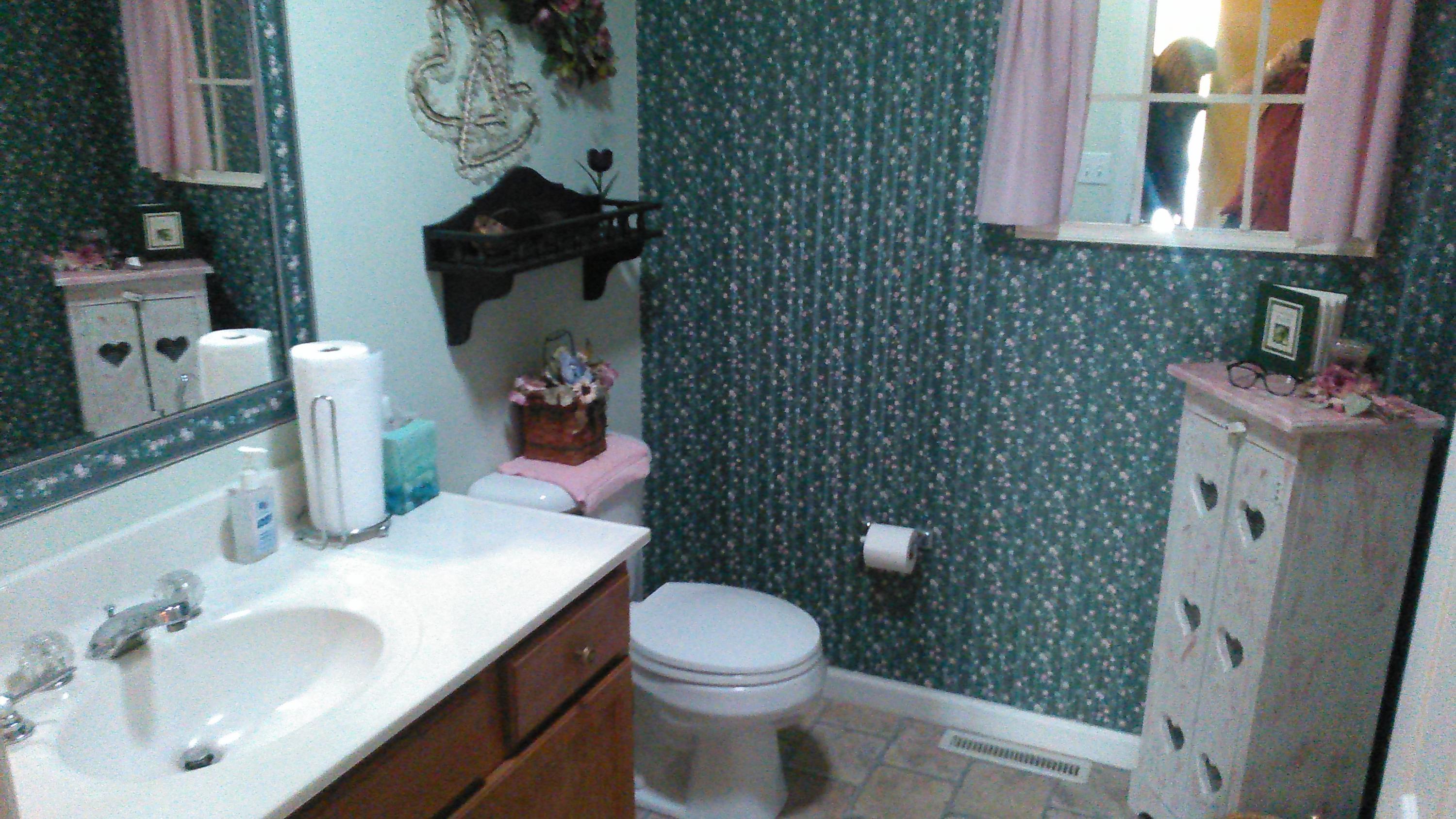 144 Springfield Lane Jacksboro, TN 37757 - Photo 10 of 23 phone pics May 3 2017 729