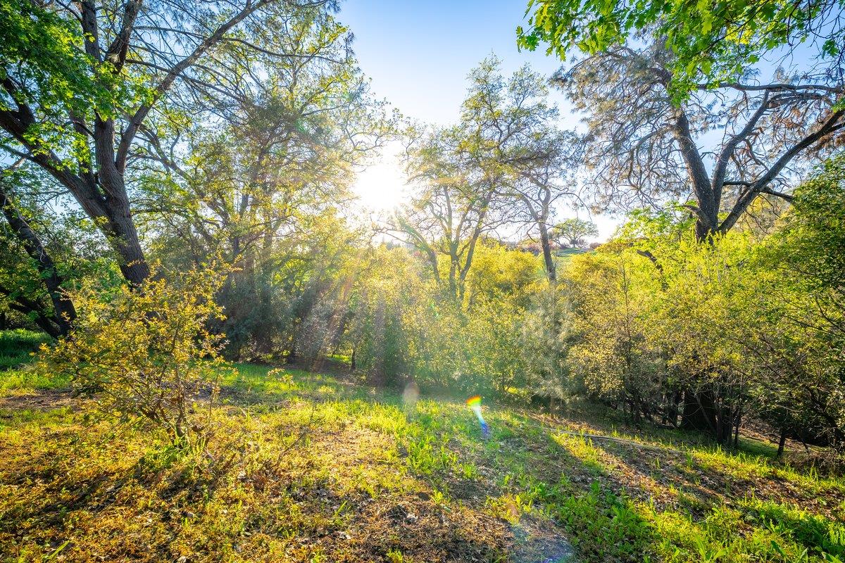 1822 Crockett Road Auburn, CA 95603 - Photo 40 of 47