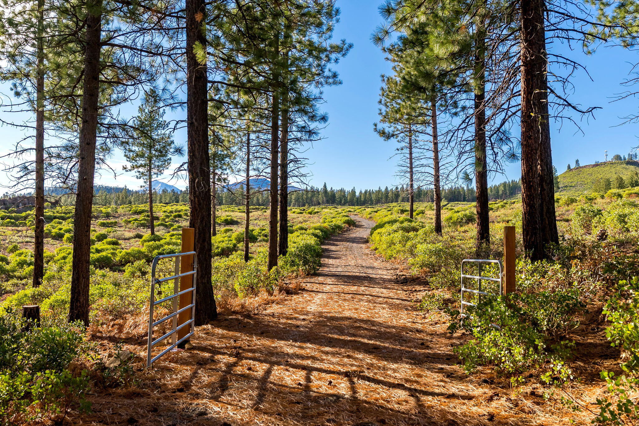 70410 McAllister Road, Unit FS ROAD 2060 Sisters, OR 97759 - Photo 7 of 28