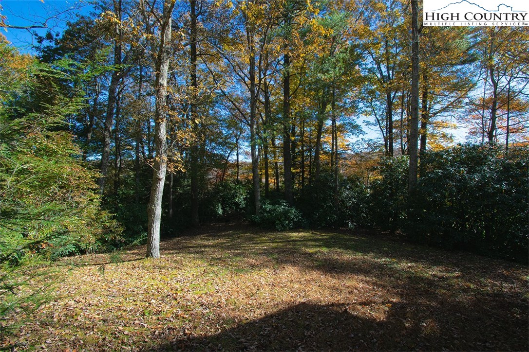 1182 Russ Cornett Road Boone, NC 28607 - Photo 5 of 18 Gallery Image 5