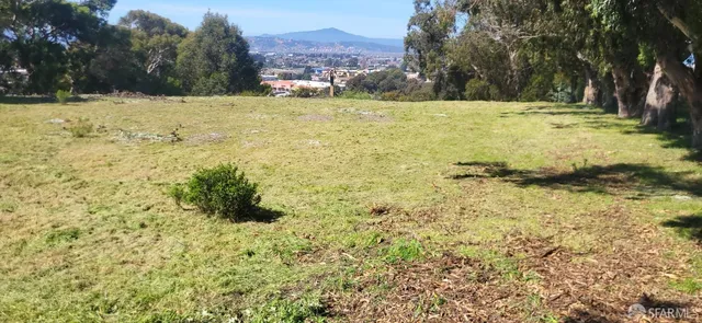a view of a yard with large trees
