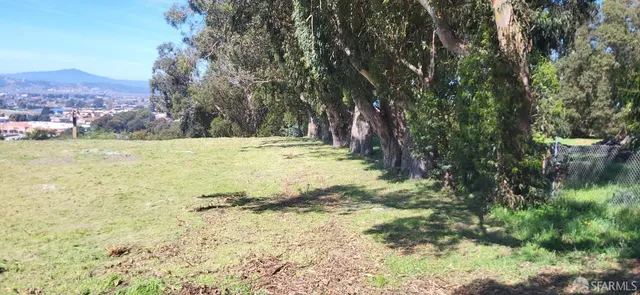 a view of a yard with trees