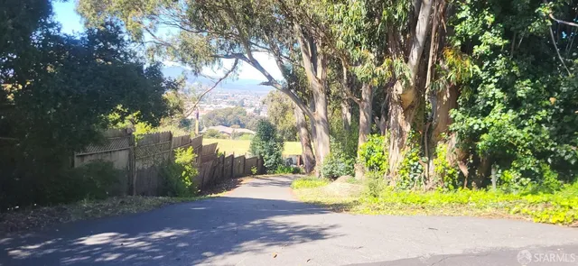 a view of yard with tree in front of it