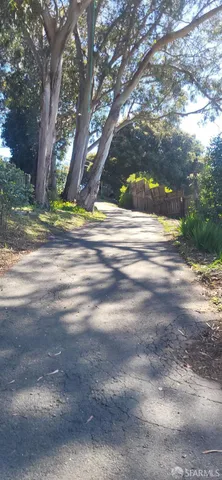 a view of yard and trees
