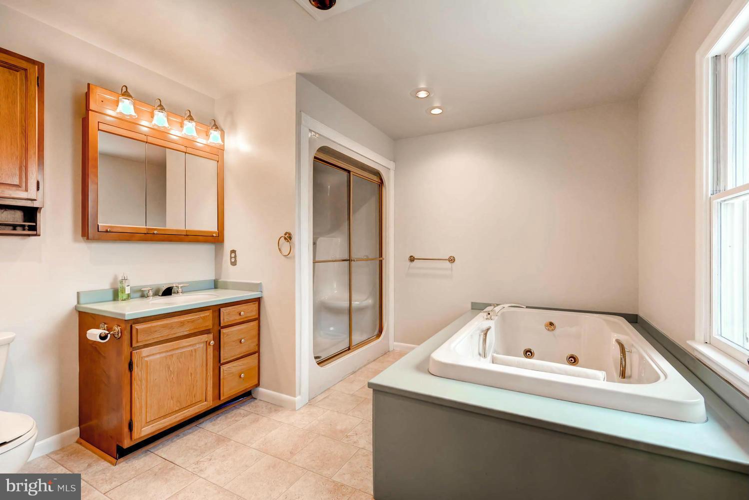 7301 East Battle Grove Road Baltimore, MD 21222 - Photo 17 of 30 Master Bath