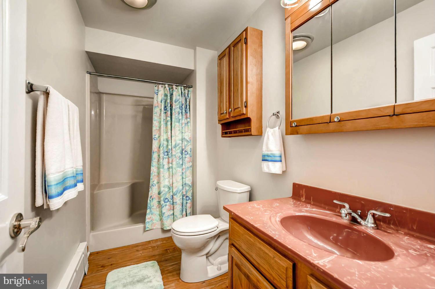 7301 East Battle Grove Road Baltimore, MD 21222 - Photo 26 of 30 Lower Level Bath