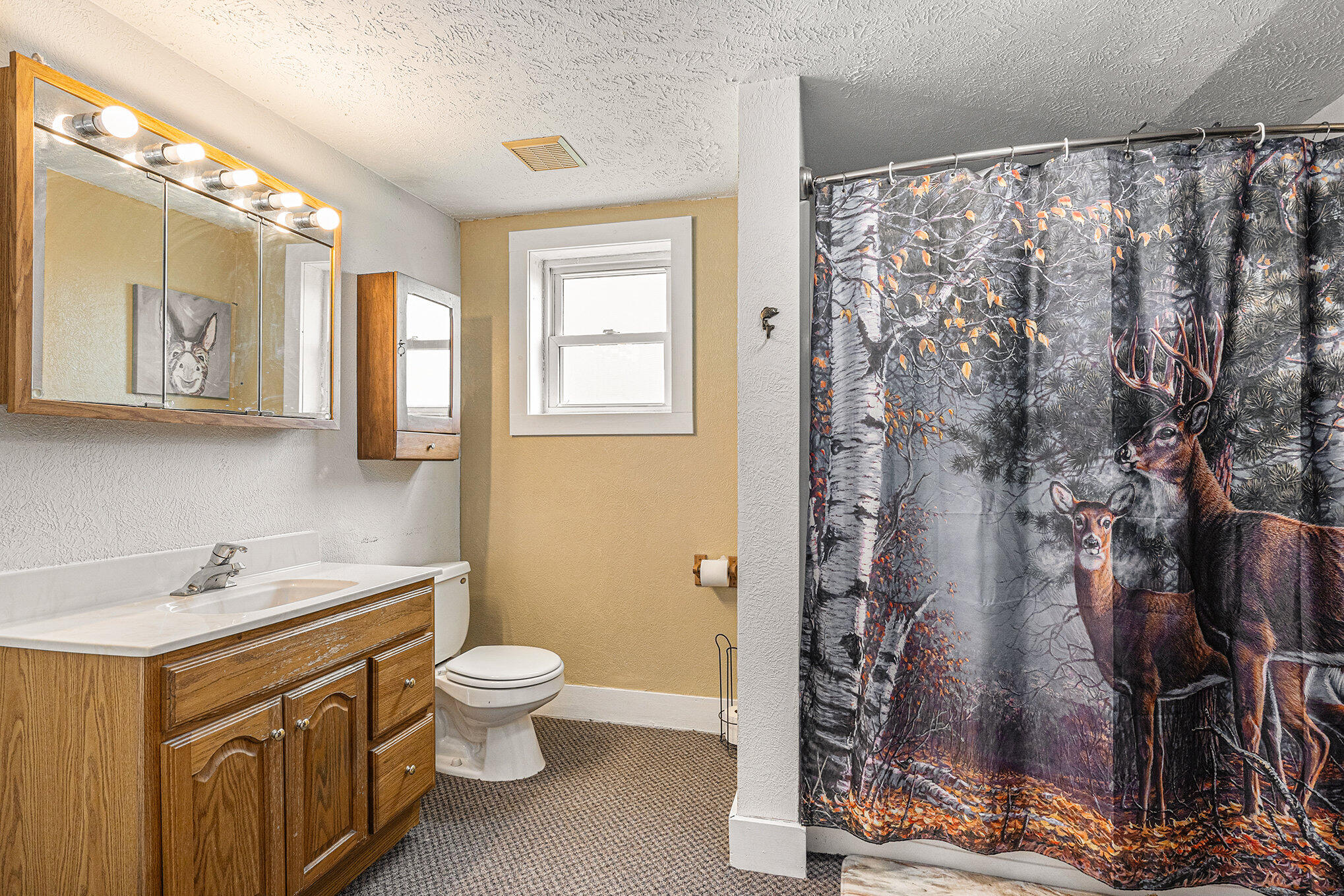 7463 Garfield Road Middleton, MI 48856 - Photo 16 of 27 017_garfield-27
