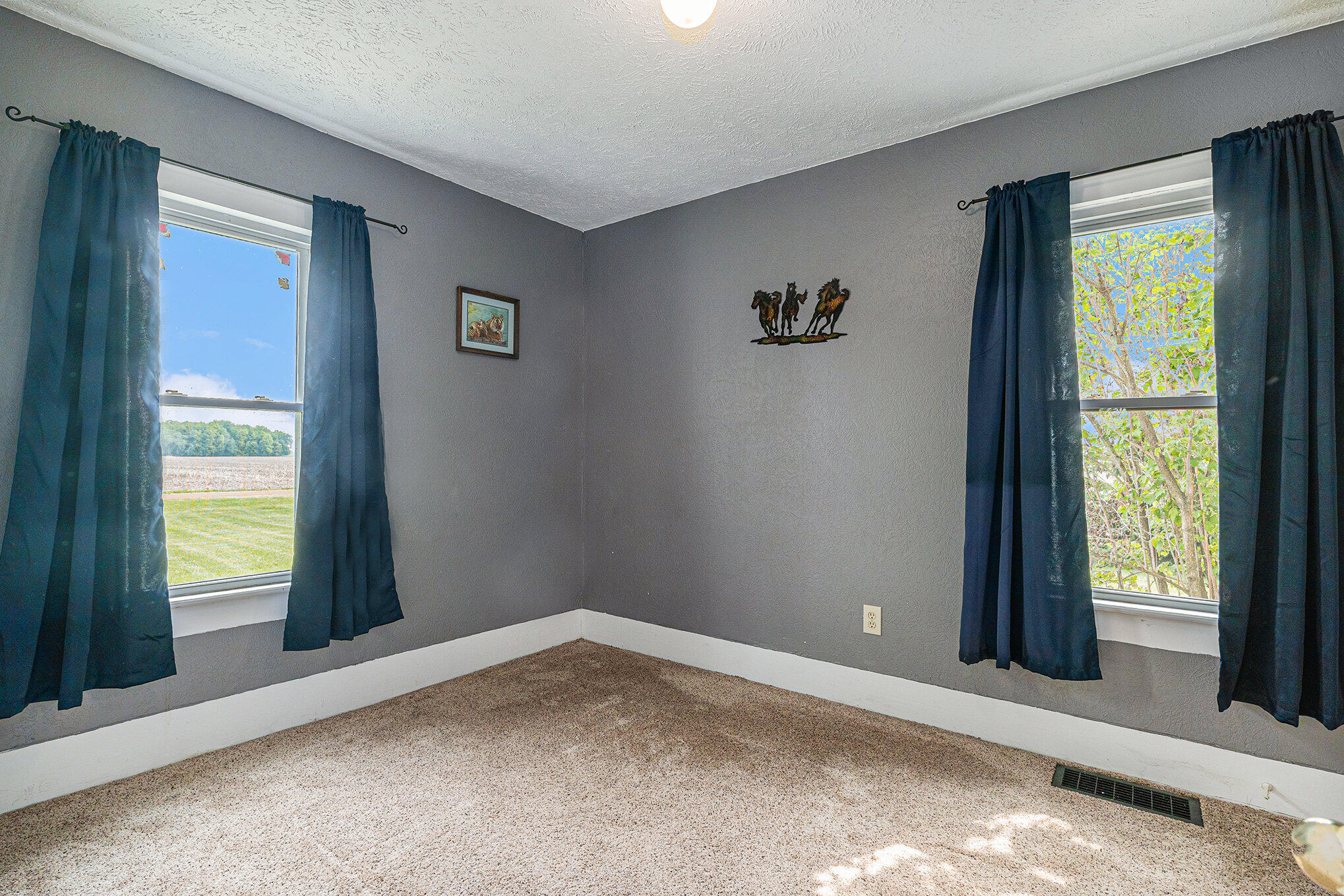 7463 Garfield Road Middleton, MI 48856 - Photo 8 of 27 009_garfield-11