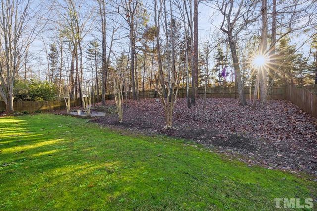 a view of a park with large trees
